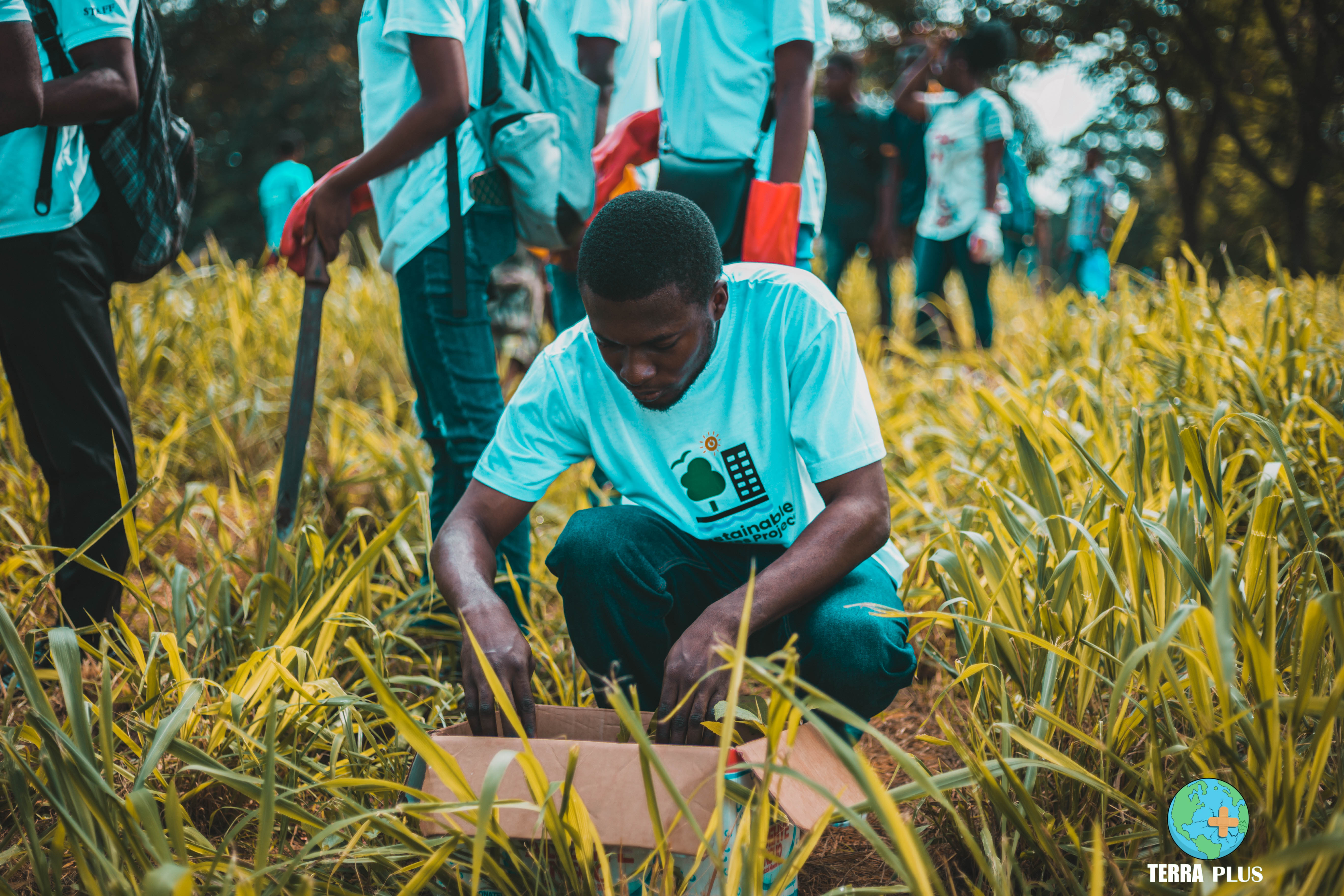 Terraplus Ghana Embarks on Tree Planting Exercise